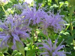 IMG_20150707_140152