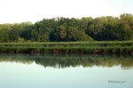 DSC_0025