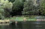 D70_5391