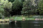 D70_5392