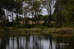 D70_5394