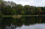 D70_5402