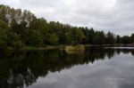 D70_5408