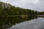D70_5409