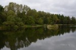 D70_5411