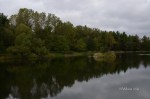 D70_5413