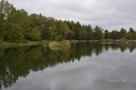 D70_5415
