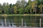 D70_5451